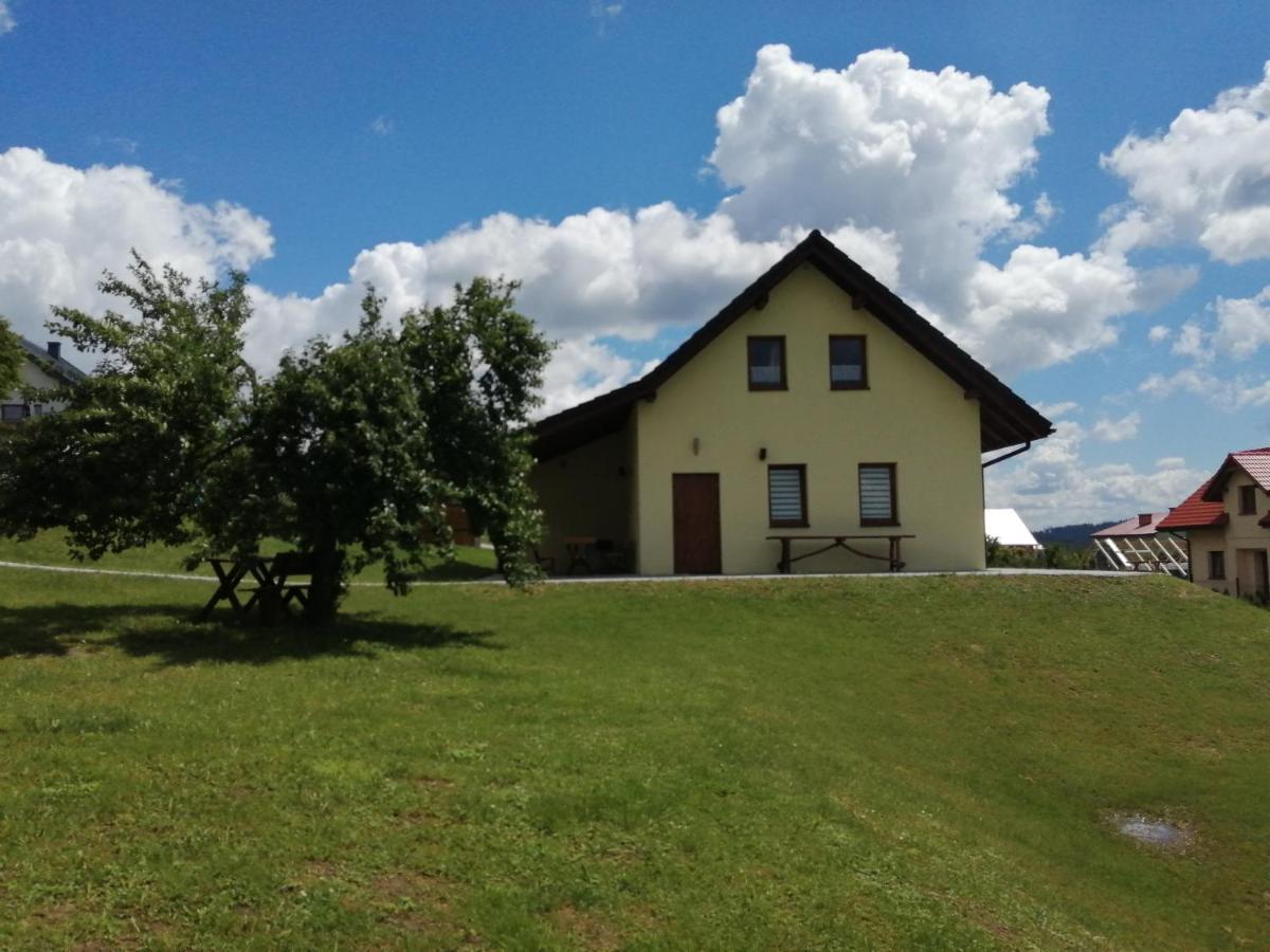 Domki Pod Beskidem Jaworzynka Esterno foto